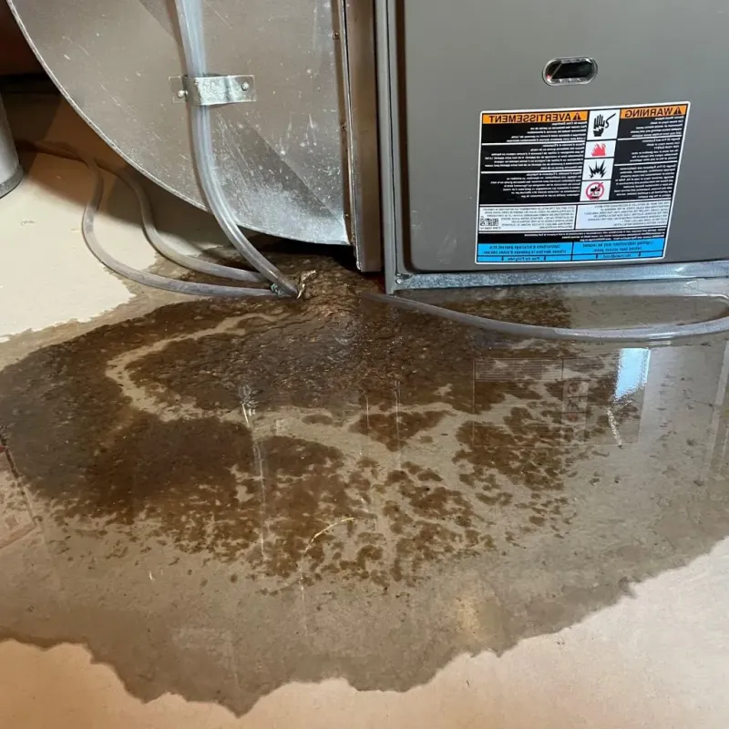 Pipe Burst and Leak Restoration in Jessup, PA